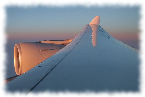 Wing of an Airbus in flight.